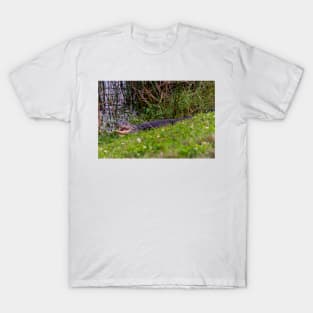 Alligator at Viera Wetlands Florida T-Shirt